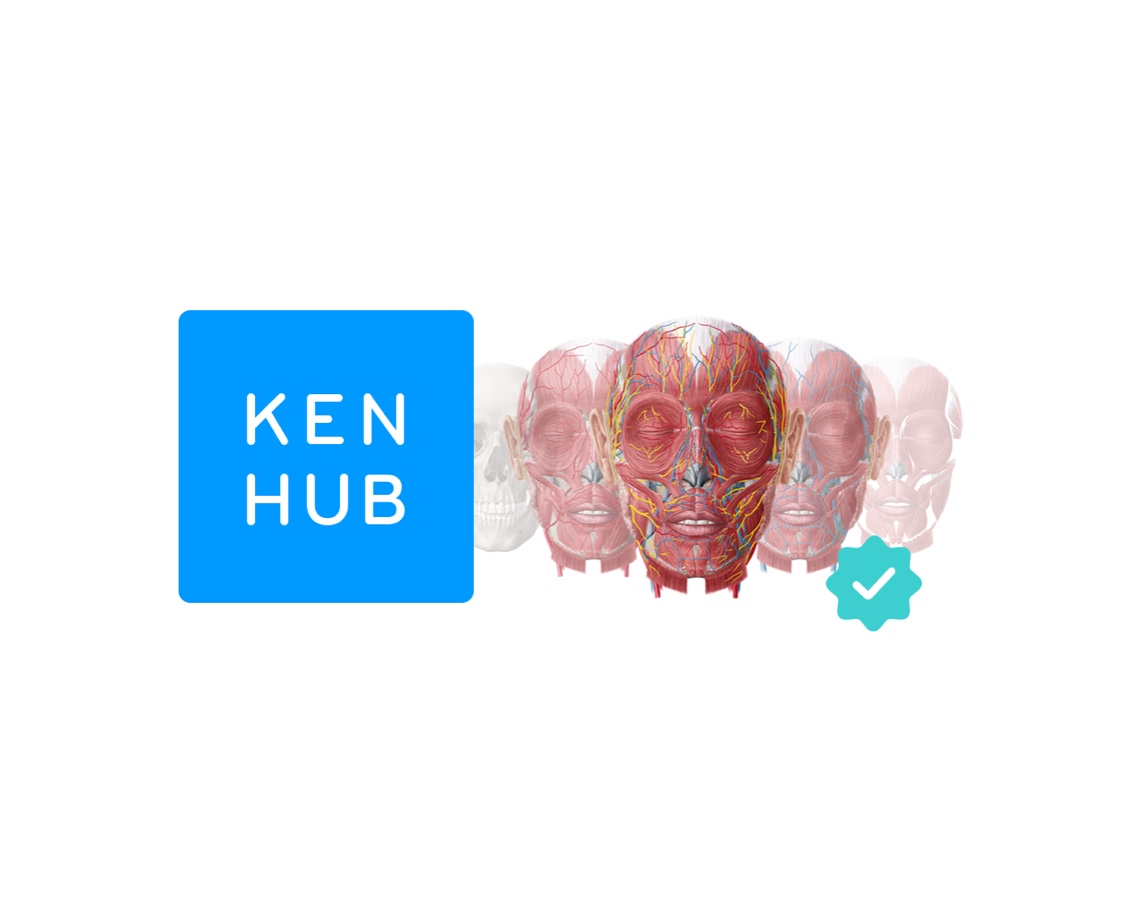 kenhub-premium-content-quizlet